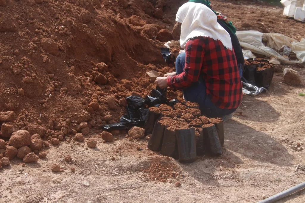 الإدارة العامة للبيئة :الأشجار ثروة حيوية تساعد الجميع ويجب الحفاظ عليها