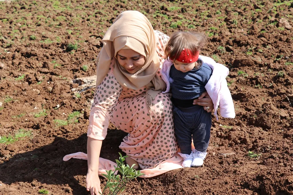 زراعة 100 شجرة في ديرك بمناسبة يوم المرأة العالمي