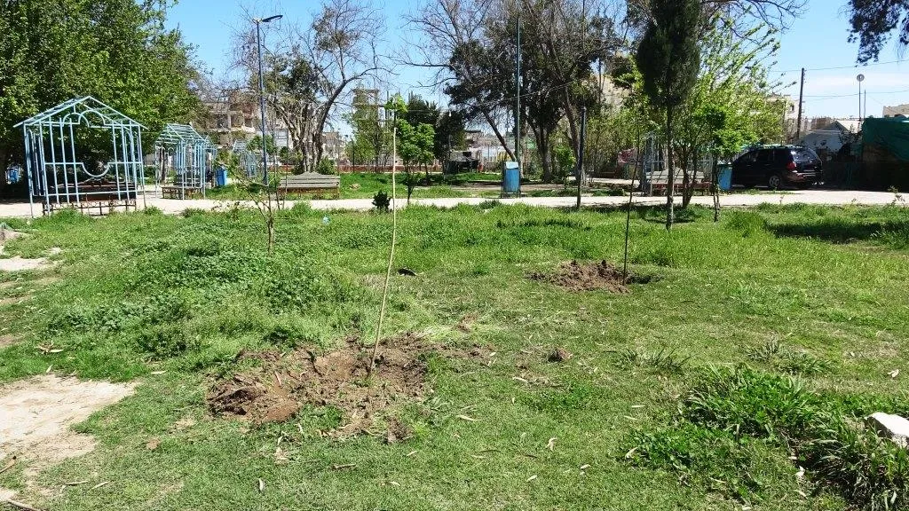 ​​​​​​​زراعة الأشجار أقل ما نهديه لقائد ناضل ويناضل من أجل حريتنا