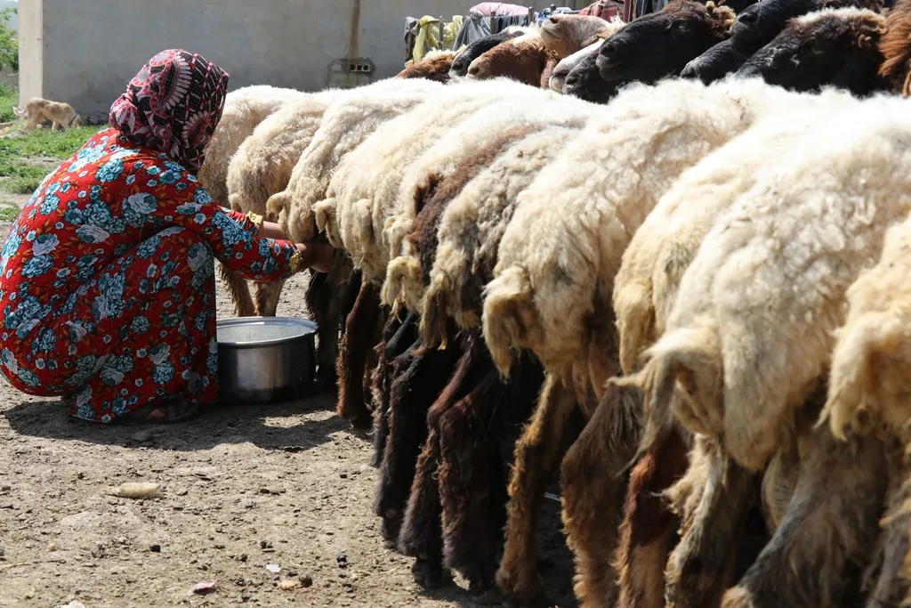 الاعتماد على الإنتاج المحلي سمة أساسية للحياة الريفية في ديرك