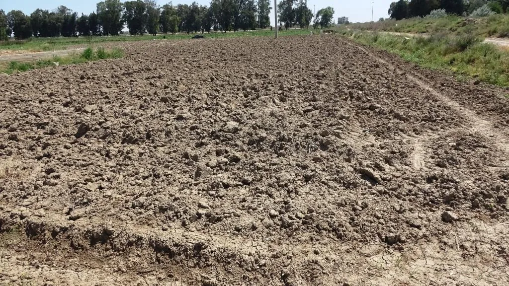 خطوة لتعزيز اقتصاد المرأة في الرقة