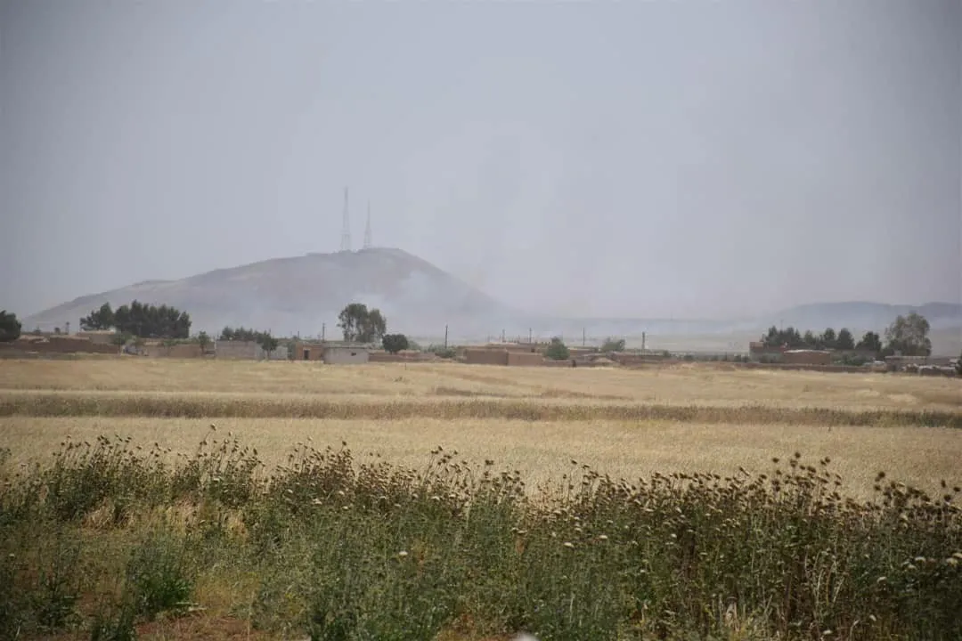 السيطرة على نيران التهمت 270 دونم من محصولي القمح والشعير  في الجزيرة