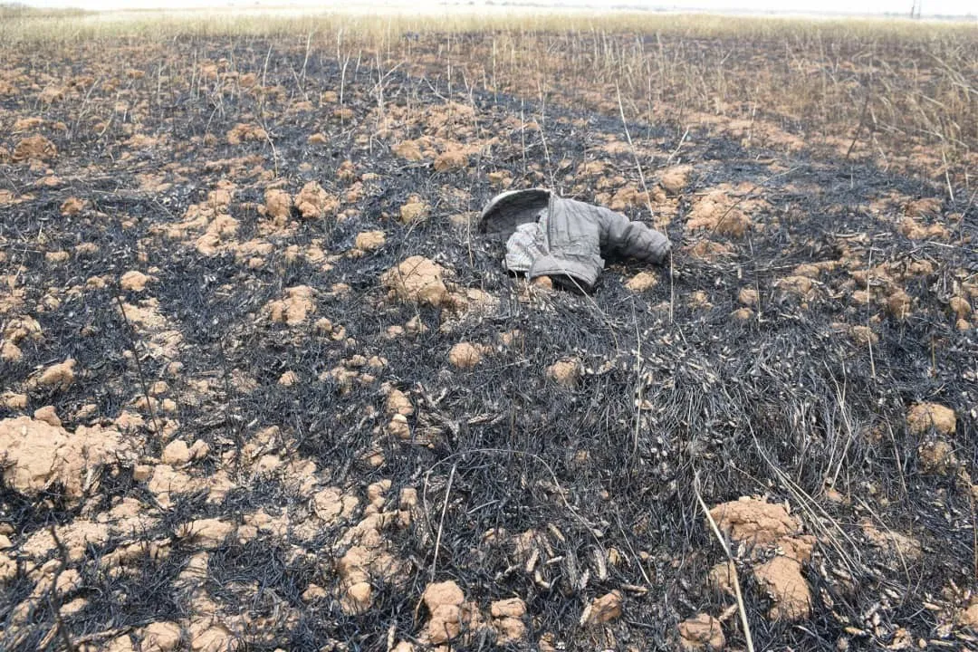 السيطرة على نيران التهمت 270 دونم من محصولي القمح والشعير  في الجزيرة