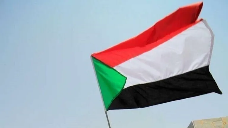 صحيفة إماراتية: الخرطوم تسلم "عناصر إخوانية" إلى مصر