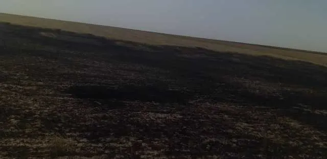 ​​​​​​​حرائق تلتهم ألاف الدونمات من القمح والشعير في دير الزور