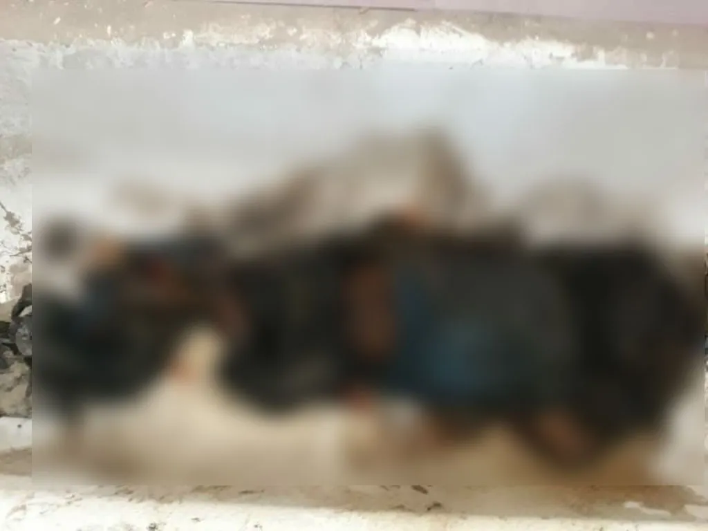 جريمة بحقّ طفل في السّادسة من عمره تهزّ الشّارع في الرّقّة