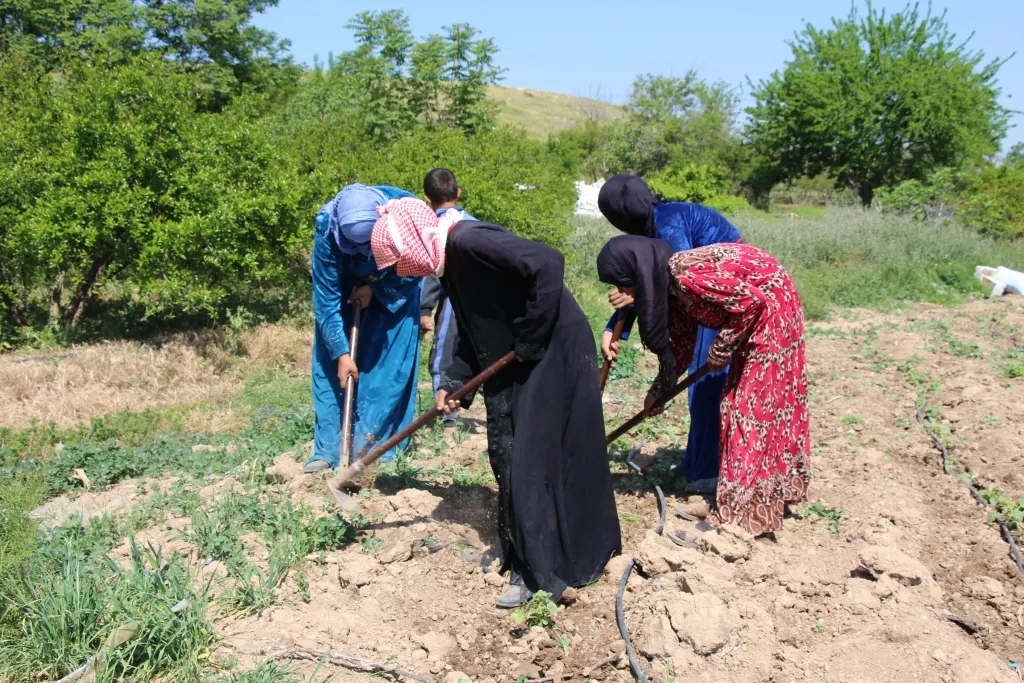 ​​​​​​​نساء منبج بعملهن الجماعي يحققن اكتفاءهن الذاتي