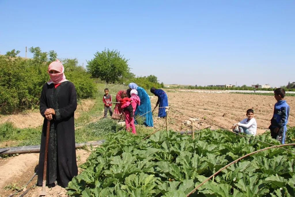​​​​​​​نساء منبج بعملهن الجماعي يحققن اكتفاءهن الذاتي