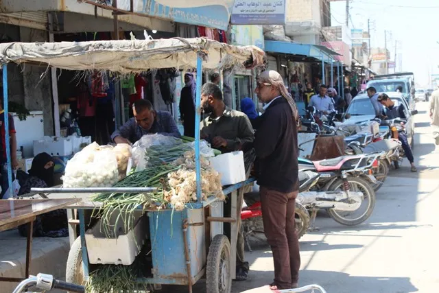 ارتفاع أسعارها فتح المجال لزراعتها في خطوة نحو الاكتفاء الذاتي