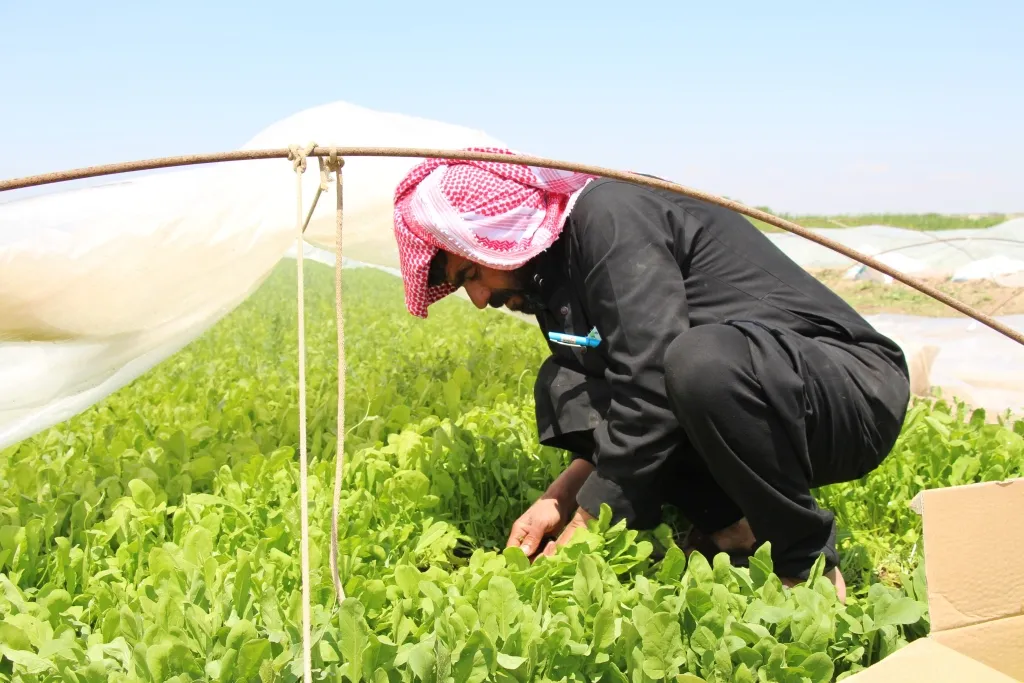 ​​​​​​​بزراعاته المتنوعة يساهم في تحقيق الاكتفاء الذاتي للمنطقة