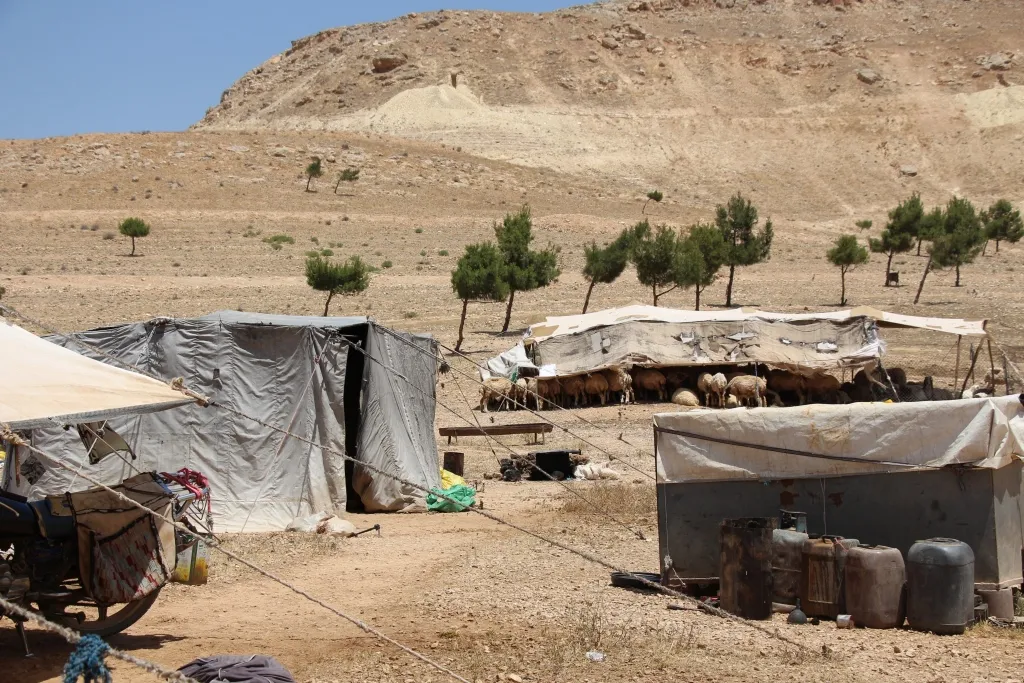 البداوة.. بساطة مع الطبيعة يهددها التحضر