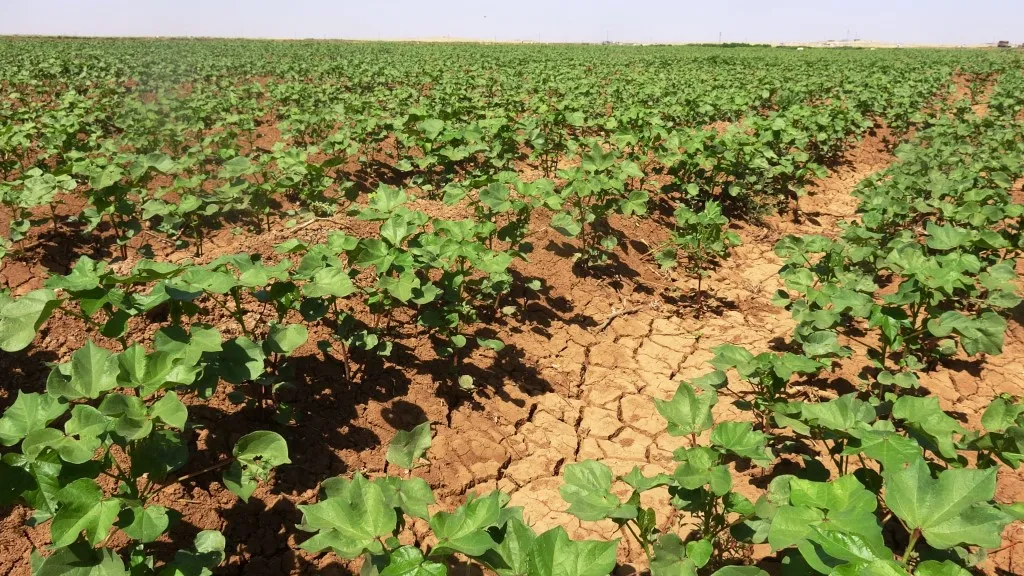 الانقطاع المتكرر للمياه يهدد الموسم الزراعي في بلدة الهيشة