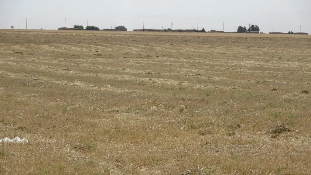 بفضل التدابير المتخذة موسم الحصاد في تل حميس انتهى بأقل الخسائر