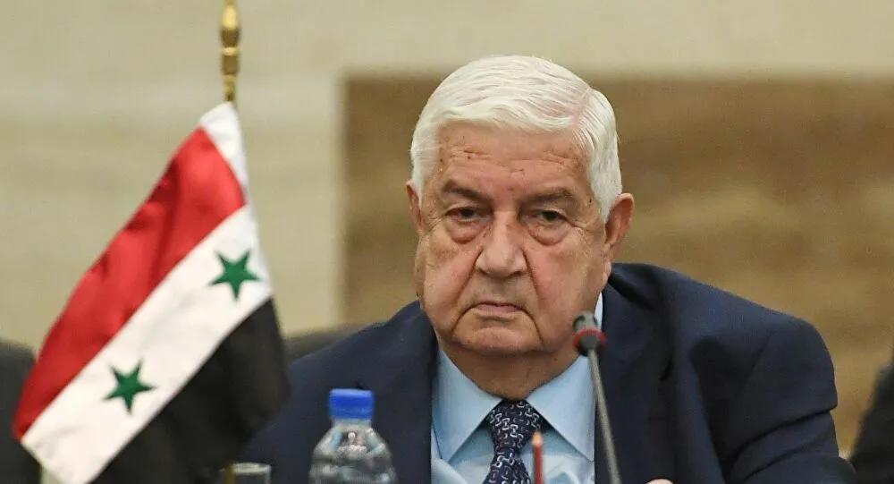 وليد المعلم: نحن معتادون على العقوبات وتركيا تغزو وتحتل دول عربية