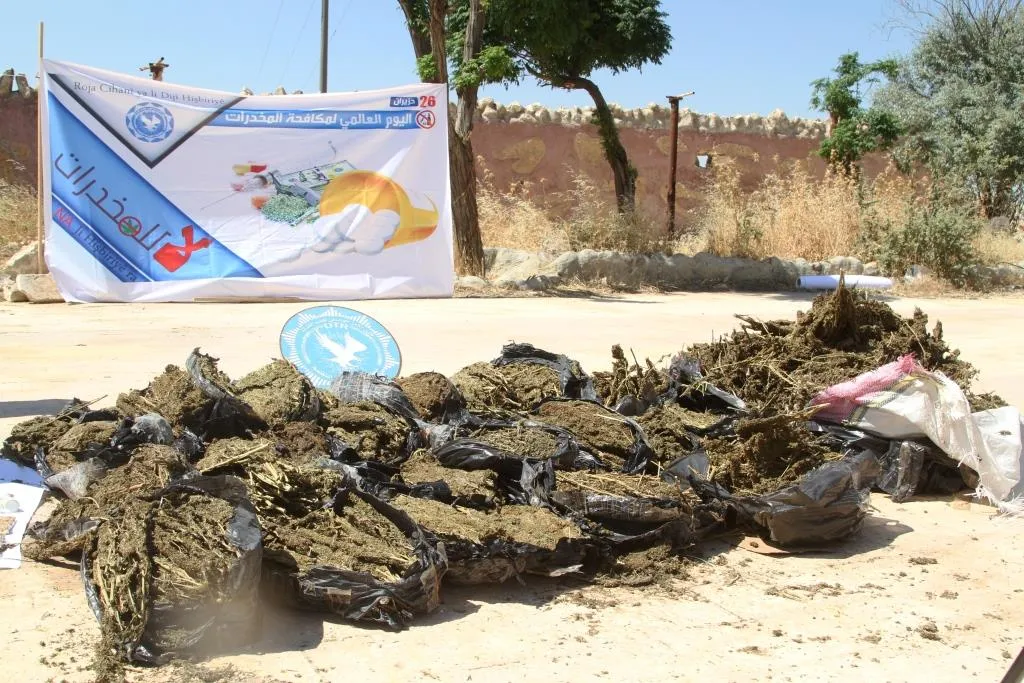 كوباني.. الأمن الداخلي يتلف كميات من نبتة الحشيش والحبوب المخدرة