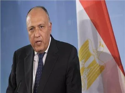 مصر تهدد أثيوبيا باللجوء لمجلس الأمن وتدعو إلى حل سياسي في سوريا