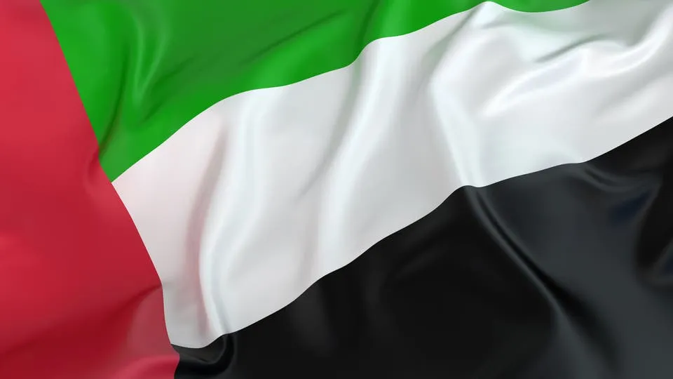 الإمارات: تركيّا تنتهك القانون الدّوليّ بشكل صارخ في ليبيا