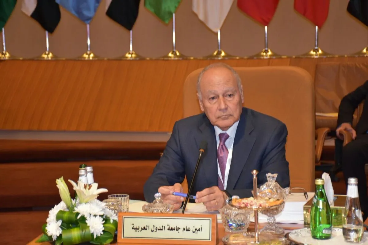 ​​​​​​​أبو الغيط: الوضع في لبنان خطير للغاية.. انزلاق لما هو أكثر خطرًا