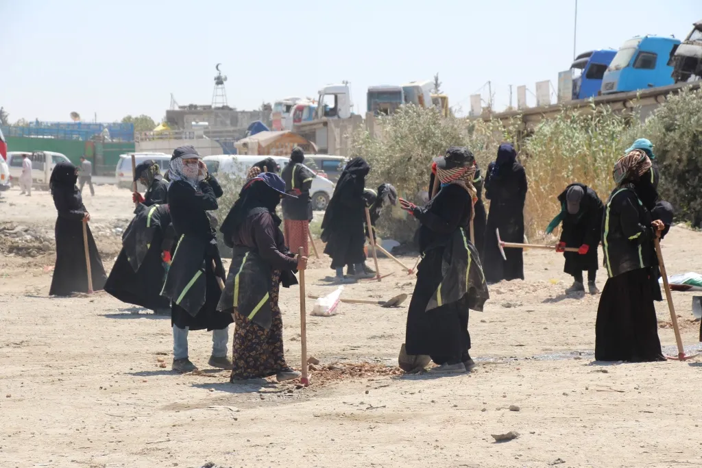 منبج.. البدء بعملية تشجير الحراج في المدينة 