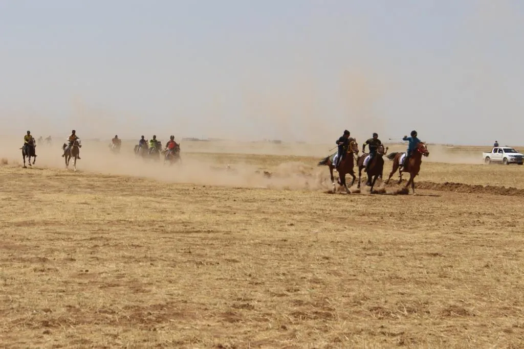 انطلاق المهرجان الثامن للخيول العربية الأصيلة في تل حميس