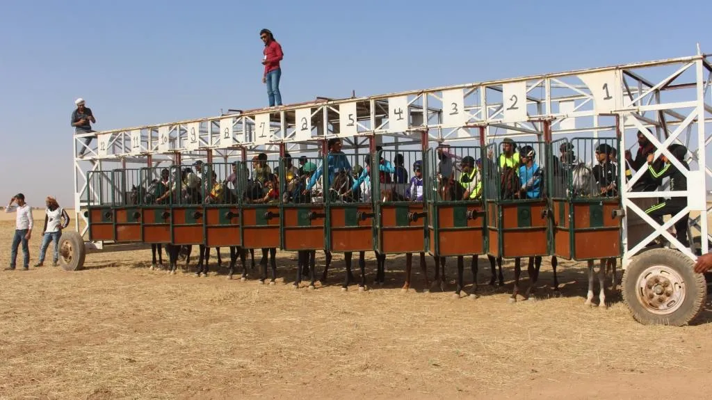 انطلاق المهرجان الثامن للخيول العربية الأصيلة في تل حميس