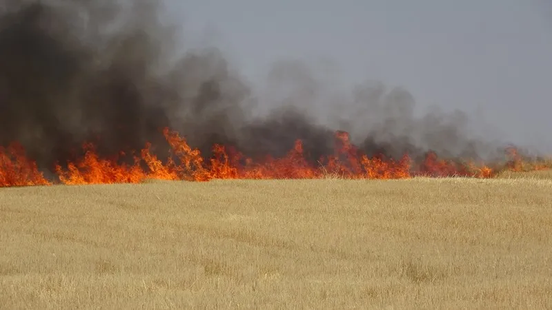 أضرار كبيرة في الممتلكات خلّفها إضرام النّيران في بقايا المحاصيل الزّراعيّة