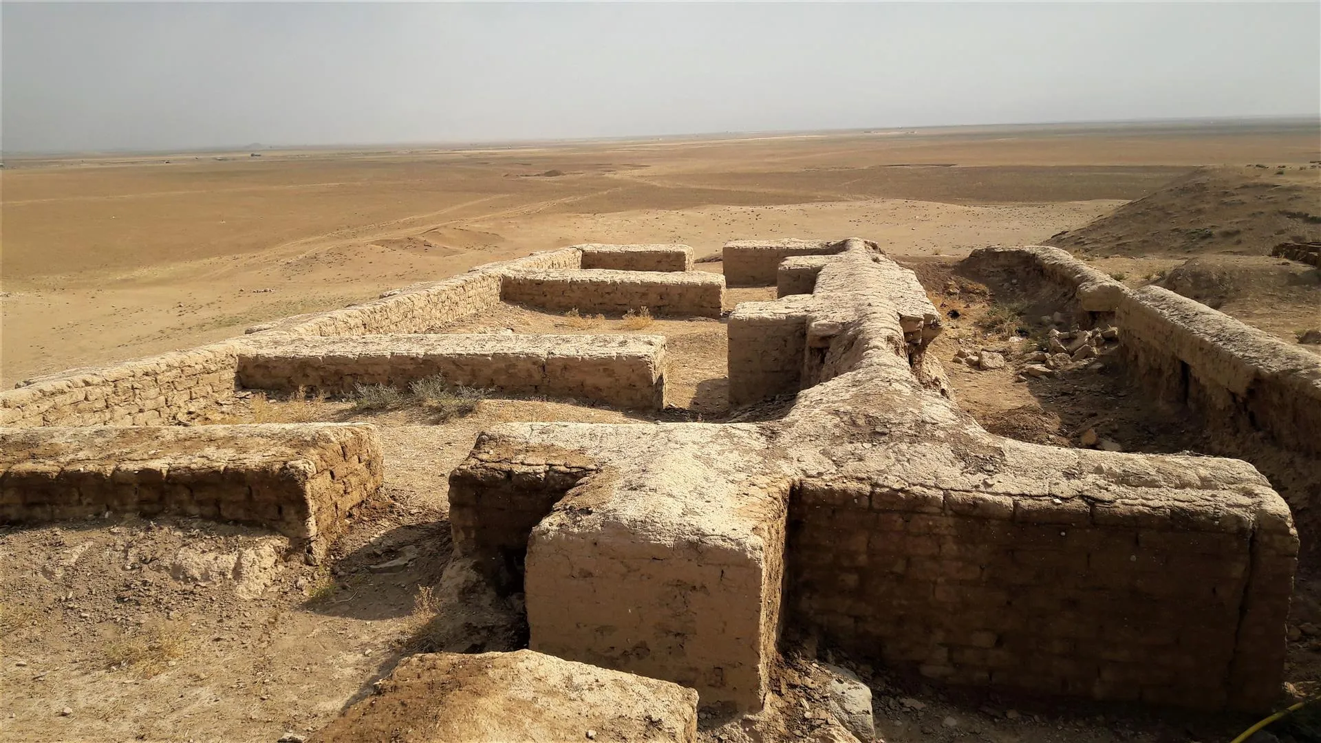 مديرية الآثار: على البعثات الأثرية أن تقف أمام مسؤوليتها لحماية تاريخ الإنسانية جمعاء