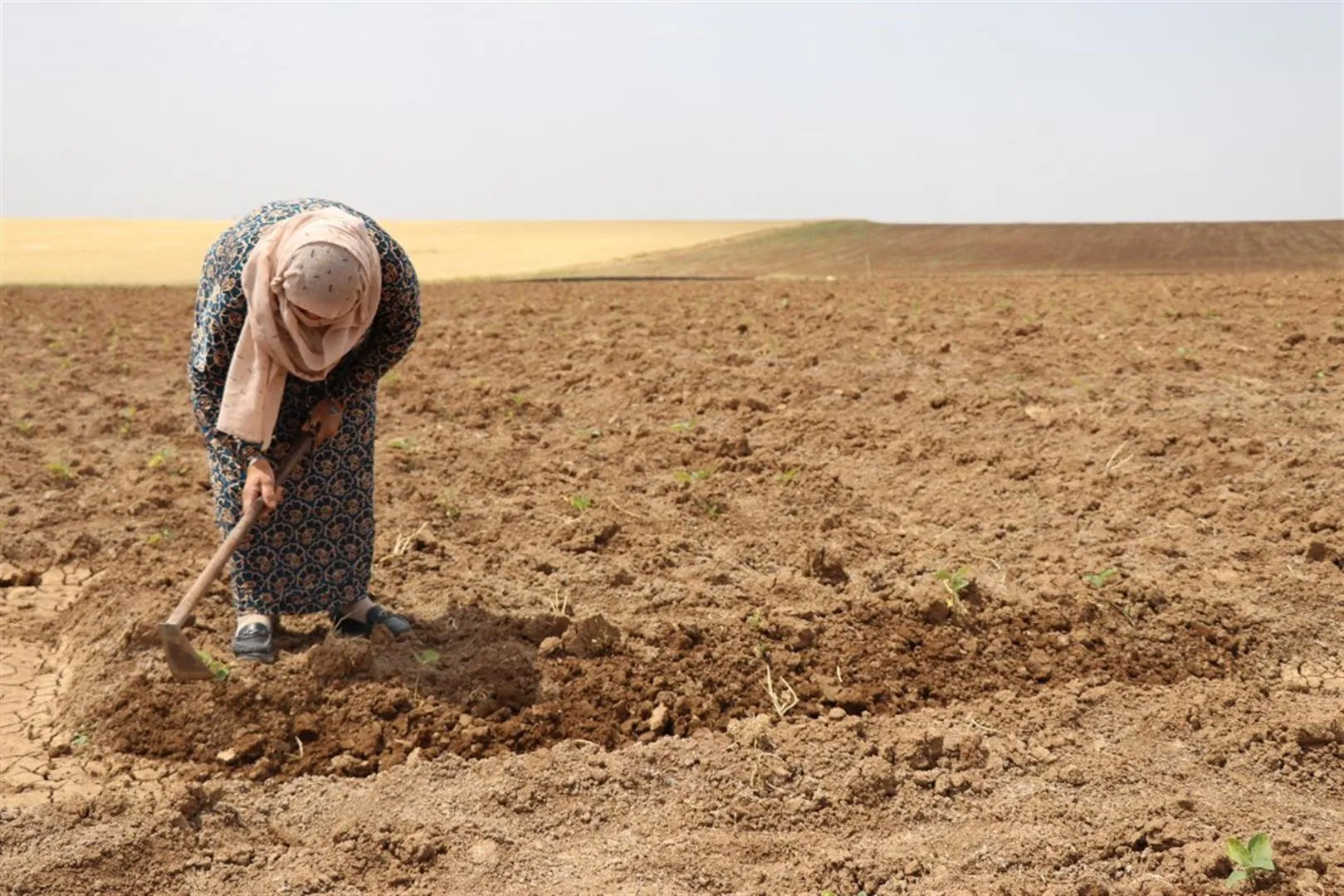مشاريع اقتصاد المرأة دافع معنوي وتطوير للواقع الاقتصادي في المنطقة