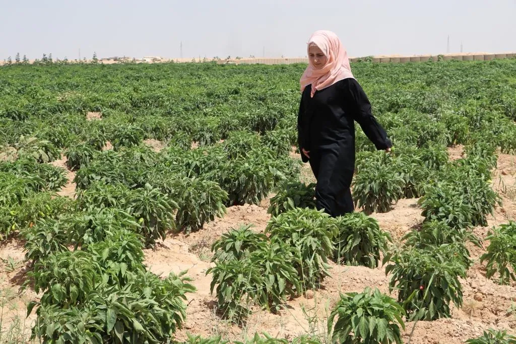 ​​​​​​​نساء نازحات ينظمن حياتهن في المخيم على أمل العودة إلى الديار
