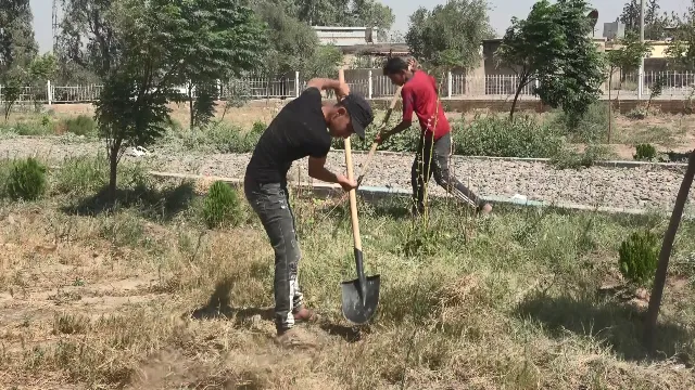 ​​​​​​​مشروع لتشجير بلدة الكسرة في دير الزّور
