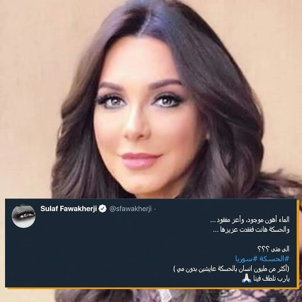 ​​​​​​​فنانون سوريون ولبنانيون يعلنون تضامنهم مع أهالي الحسكة