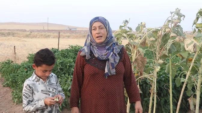 في قرية أبو صرة يعيش الأطفال تحت خطر قصف الاحتلال التركي