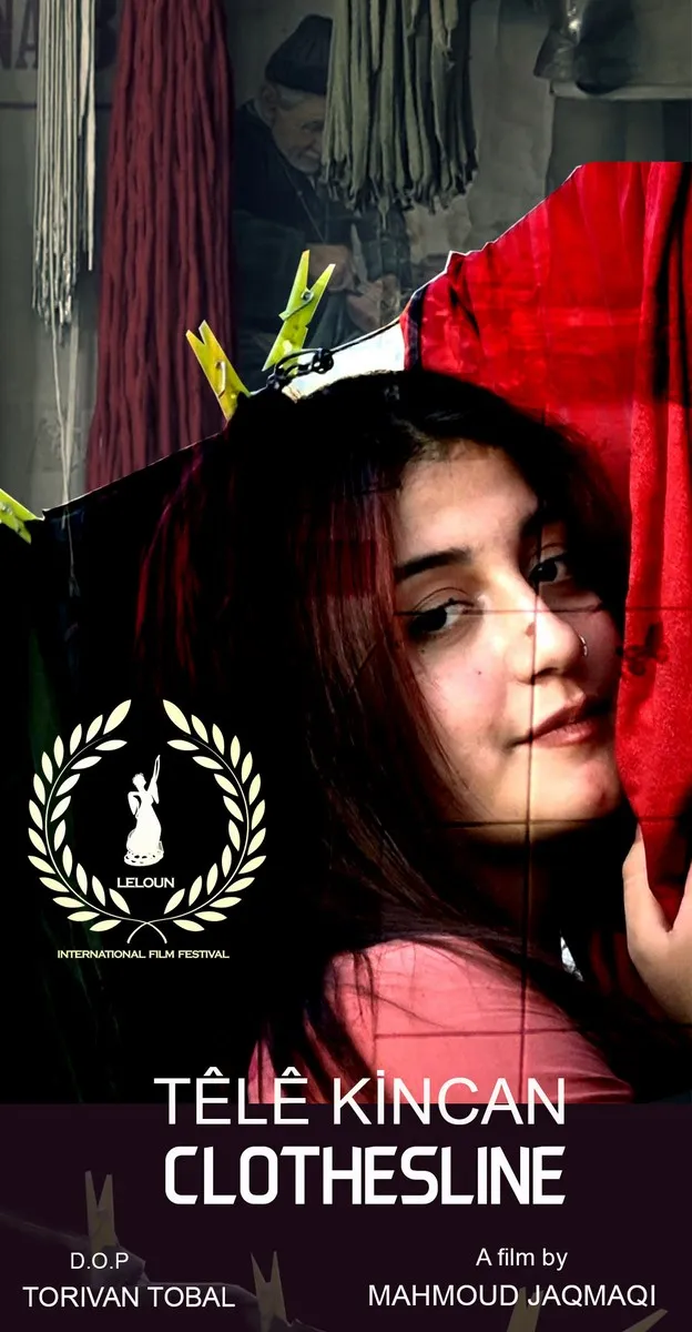 ماهي الأفلام المشاركة في مهرجان ليلون السينمائي الدولي؟