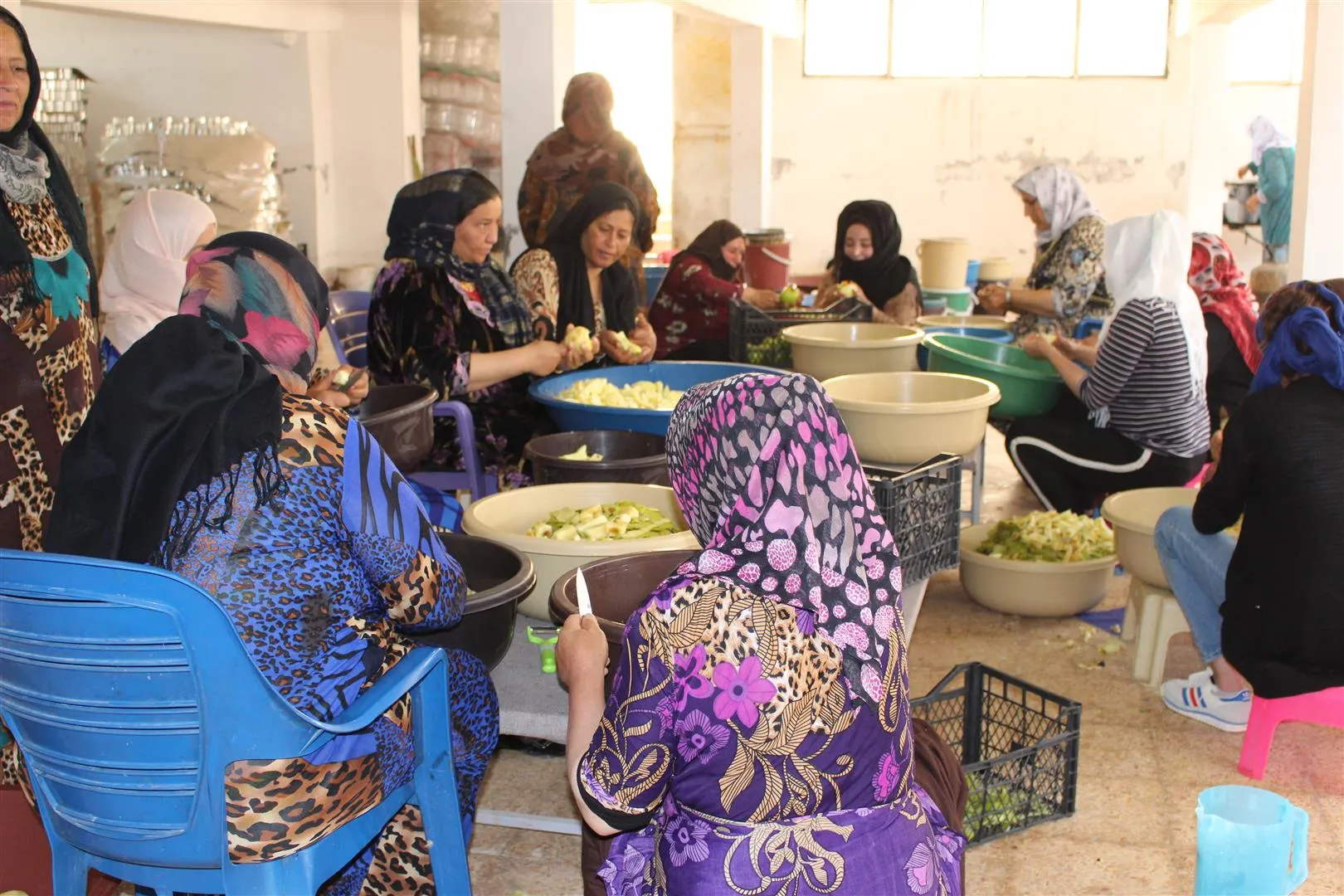 الجمعيات التعاونية.. خدمة للأهالي وتعزيز وتطوير لاقتصاد المرأة
