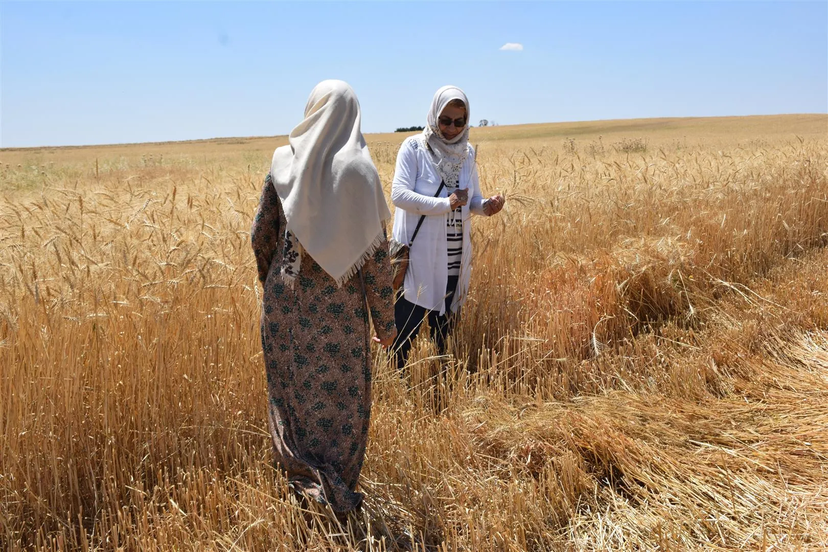الجمعيات التعاونية.. خدمة للأهالي وتعزيز وتطوير لاقتصاد المرأة