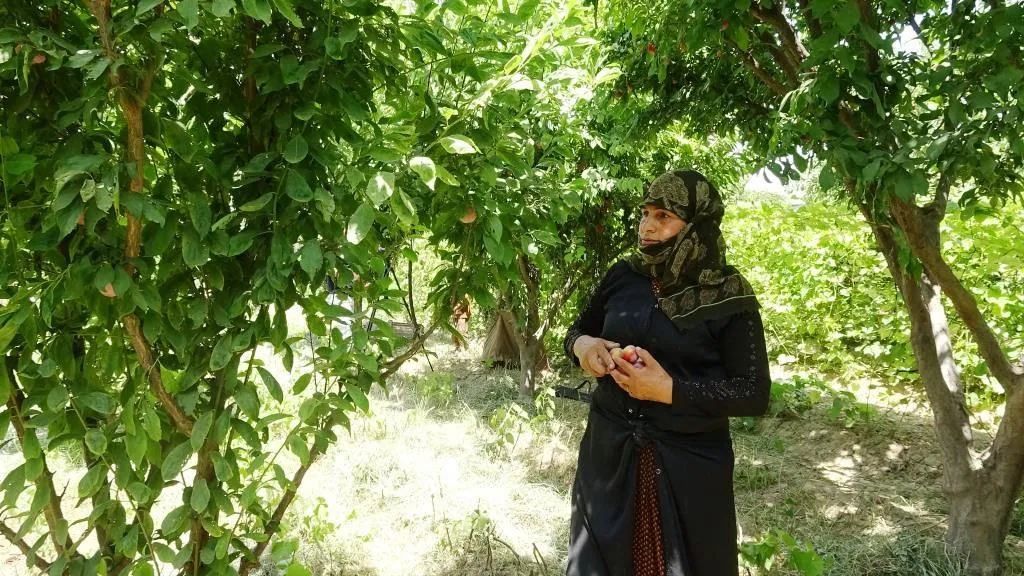 حزمة من المشاريع الاقتصادية وخطط مستقبلية جديدة لنساء الرقة