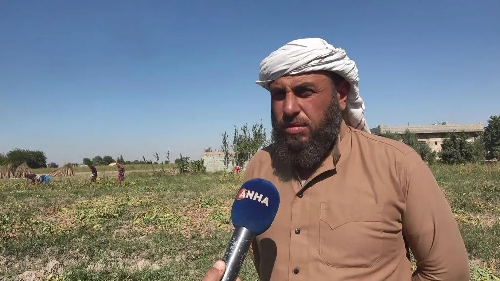 لأوّل مرّة زراعة فول الصّويا في ريف دير الزّور الغربيّ