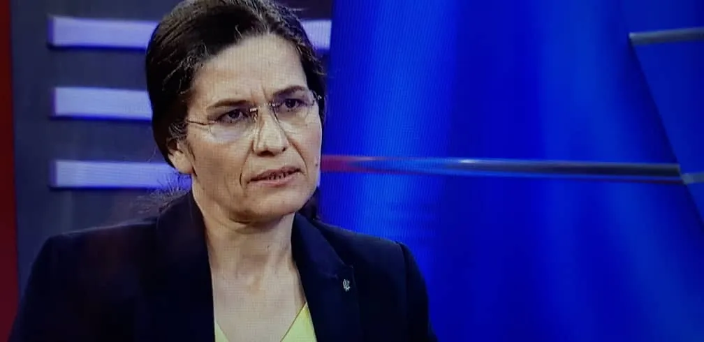 ​​​​​​​إلهام أحمد: ربما نحتاج إلى شبه معجزة للوصول إلى الحوار مع دمشق