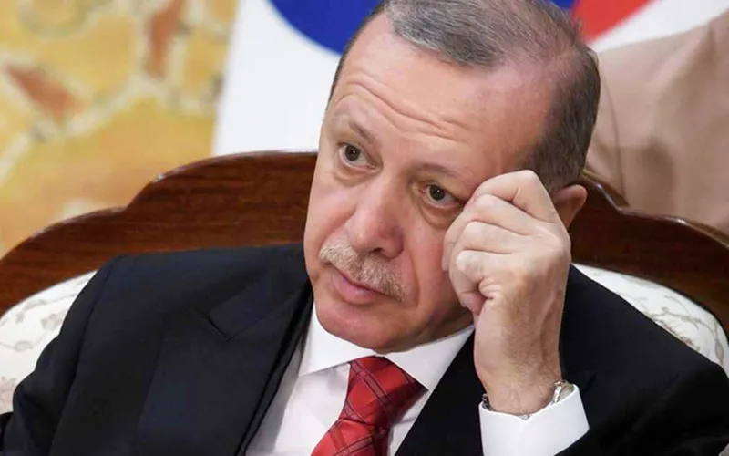 كاتب أمريكي: أردوغان مصرّ على الانتحار السياسي