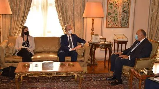 مصر ترفض أي تغيير ديمغرافي قسري في سوريا