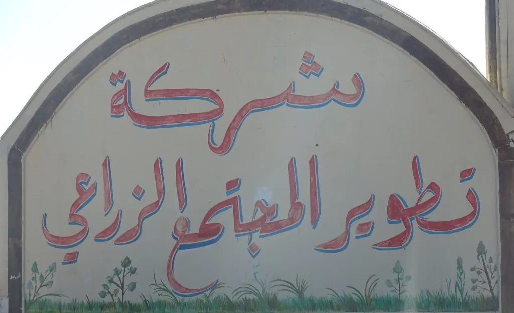 شركة تطوير المجتمع الزراعي تبدأ بخطة لدعم مربي الثروة الحيوانية في ريف دير الزور