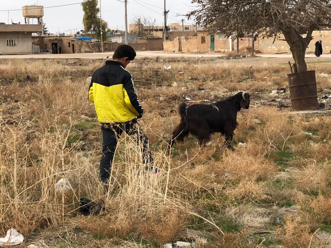 ​​​​​​​ما بين "حمزات" و"عمشات".. مدارس زركان تحولت إلى حقول رماية