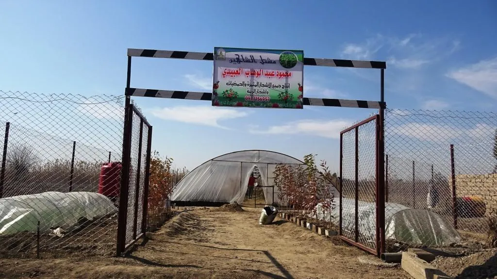 السوسة... مزارعون يسعون إلى زيادة الغطاء النباتي بعد تدميره