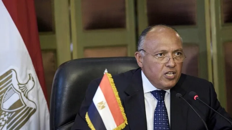 مصر تشترط على تركيا: عدم التدخل وانتهاج سياسات إقليمية تتوافق معنا