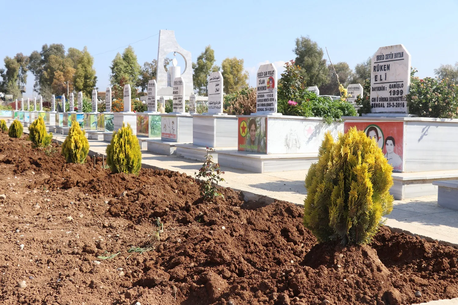 فعاليّة في حلب وزراعة للأشجار في قامشلو وديرك بمناسبة ميلاد القائد