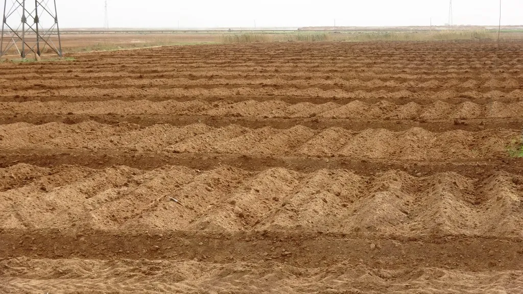 'إن زرعنا تنقطع المياه ويموت محصولنا عطشًا وإن لم نزرع فكيف سأعيش'