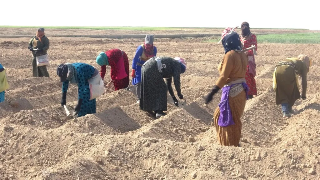 'إن زرعنا تنقطع المياه ويموت محصولنا عطشًا وإن لم نزرع فكيف سأعيش'