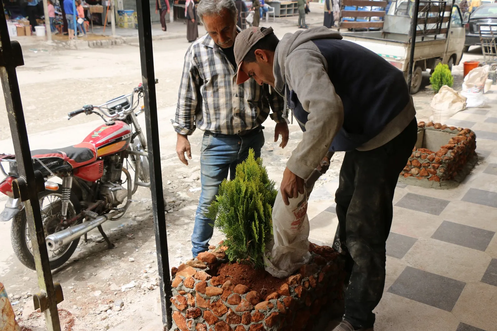 "ازرع.. لنجعل من حيّنا جميلاً"...عنوان مبادرة يطلقها شابّ عفريني