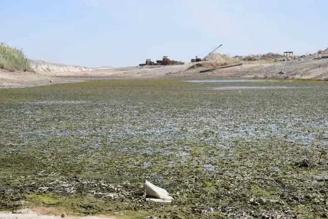 أفين جمعة: حبس مياه الفرات كارثة بيئية حقيقة تهدد حياة ملايين البشر