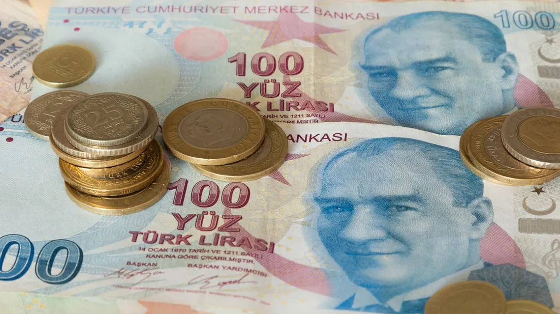 الليرة التركية تهوي إلى أدنى مستوياتها هذا العام